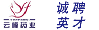 广告图片